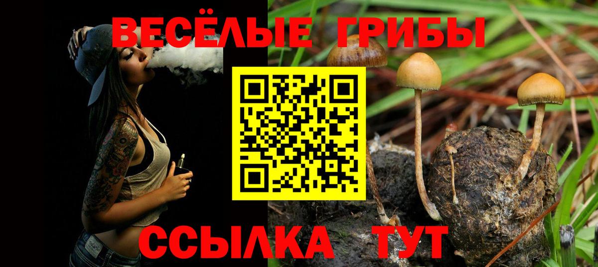Псилоцибиновые грибы Cubensis Щёлково
